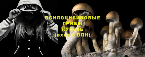 a pvp Алексеевка