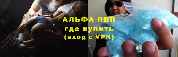 прущие грибы Абаза