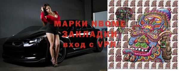 индика Алексин