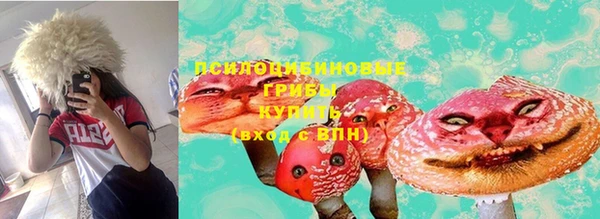 крисы Абинск